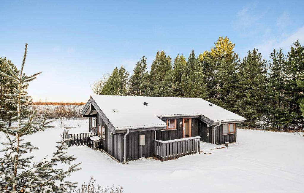 una cabaña en la nieve con árboles nevados en Nice Home In Fjerritslev With Sauna en Fjerritslev
