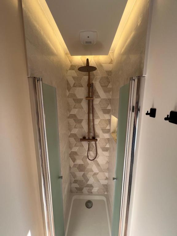 a bathroom with a shower with a ceiling at Rooms with fabulous view on Paris roofs in Paris
