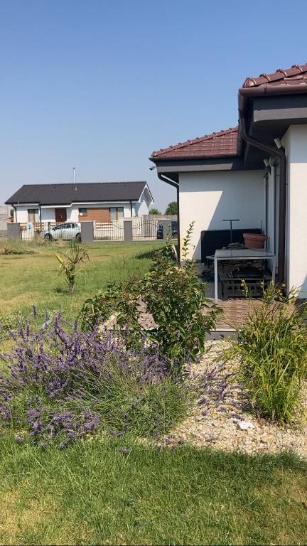Zahrada ubytování 5 izbový samostatný stojaci rodinný dom s podkrovím a veľkou záhradou so sezónnym bazénom, celoročnou saunou a vírivkou-momentálne pokazena- od augusta bude nová na dovolenku a oddych