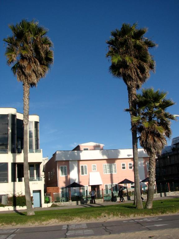 two palm trees in front of a building at Venice on the Beach Hotel in Los Angeles