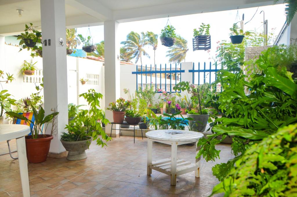 un invernadero lleno de muchas plantas en macetas en Casa em Maracajaú en Maracajaú