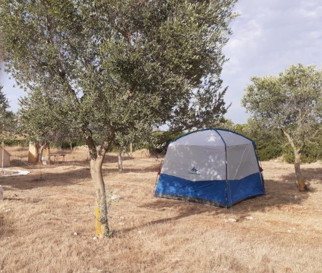 Fotografie z fotogalerie ubytování Torre Lapillo Agricampeggio v destinaci Torre Lapillo
