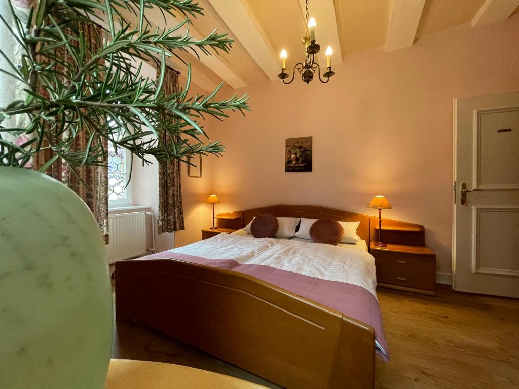 Hotel Schloss Zell - 标准双人间