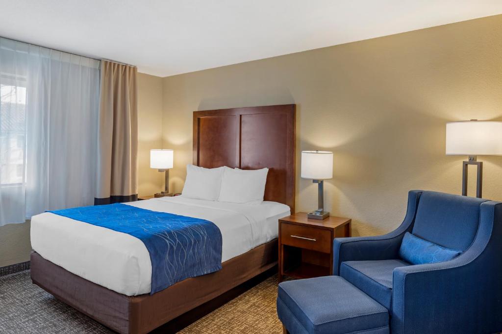 Comfort Inn & Suites Rocklin - Roseville - Queen Room - Accessible/Nonsmoking