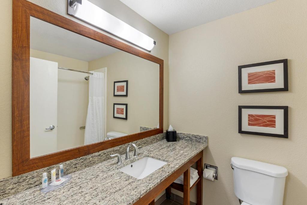 Comfort Inn & Suites Rocklin - Roseville - King Room - Non-Smoking