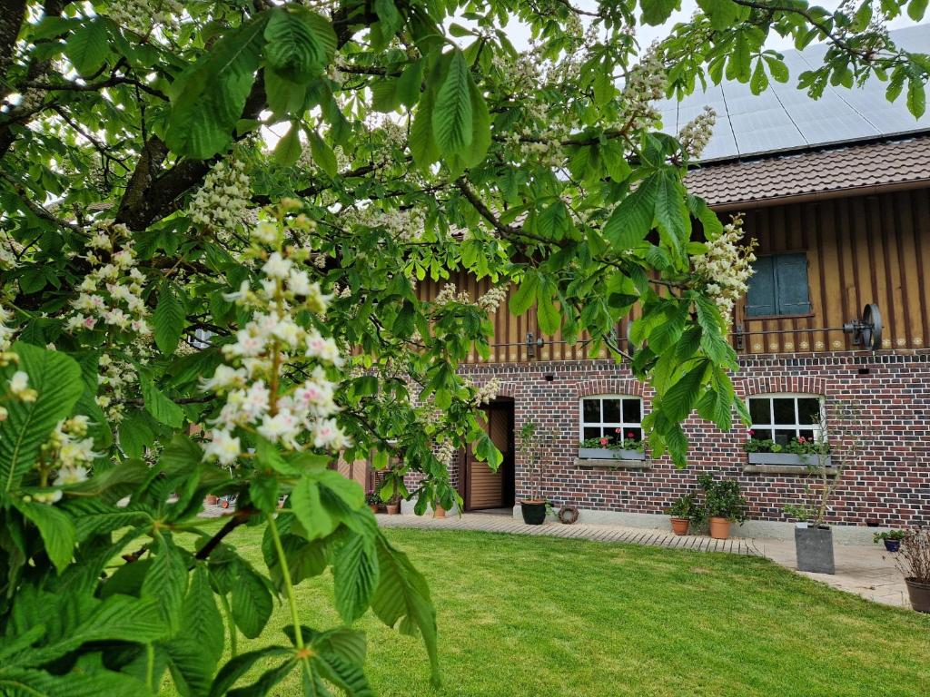 a house with a flowering tree in front of it at Ferienwohnung Ewigkeit - 4-Sterne DTV klassifiziert in Leutkirch im Allgäu