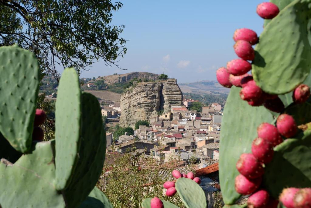 a view of a city with a cactus at Home Alle Cascate in Corleone