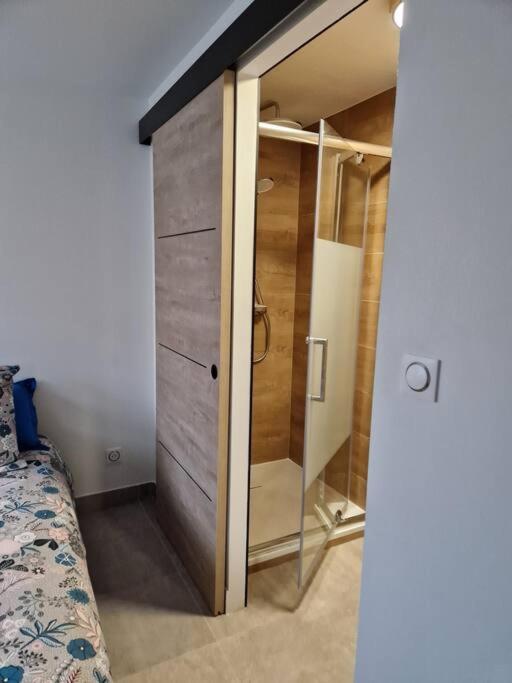 Koupelna v ubytování Joli T2 cosy avec jardin privatif