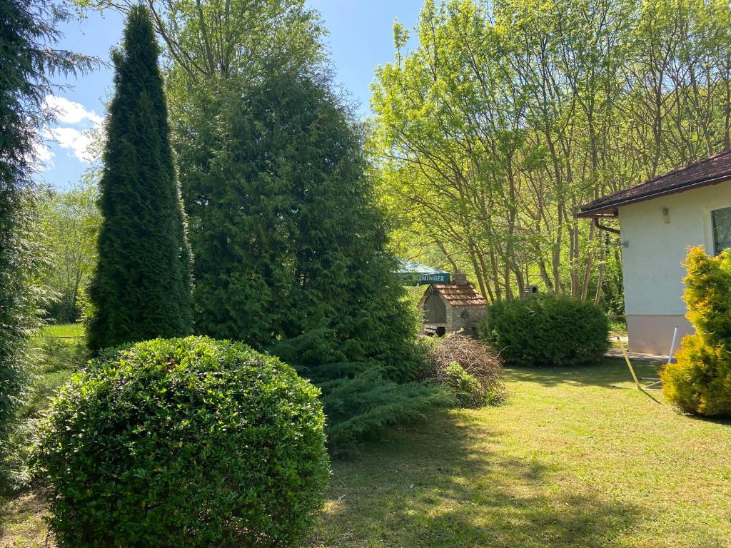Zahrada ubytování Villa Nana