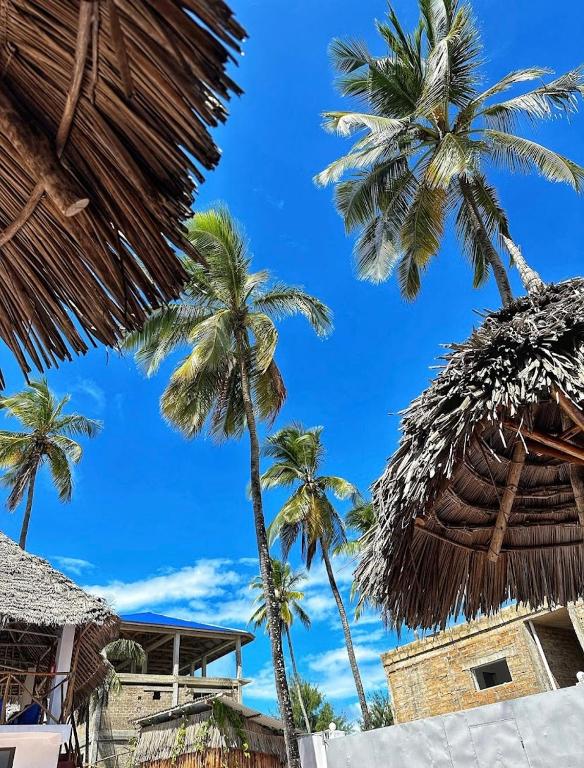 Fotografie z fotogalerie ubytování Amani Hotel Paje v destinaci Paje