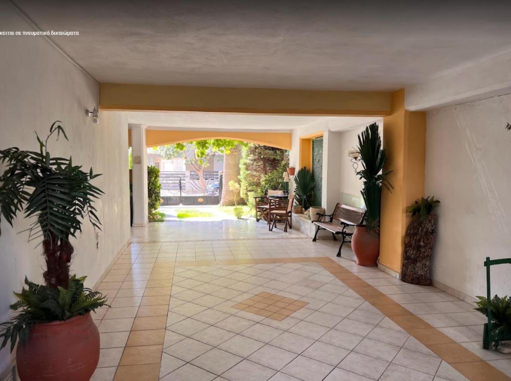 Studio Apollonia - 11