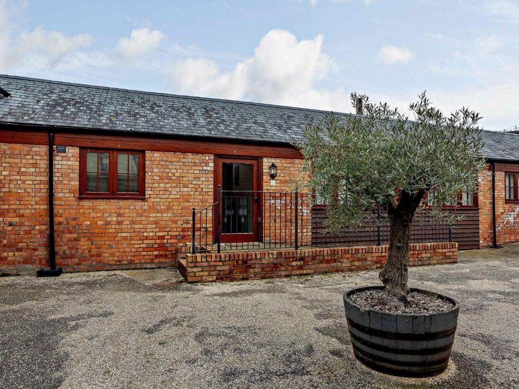 a tree in a barrel in front of a brick house at 2 Bed in Taunton KIBSH in Trull