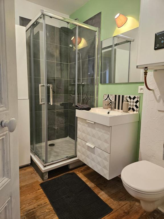 bagno con doccia, lavandino e servizi igienici di Le cocon de la Pare- Superbe T3 plein centre a Barcelonnette