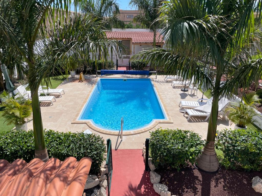 an overhead view of a swimming pool with palm trees at Casitas Rurales AMADOR in Arona