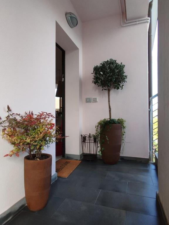 Casa degli Aromi - 3