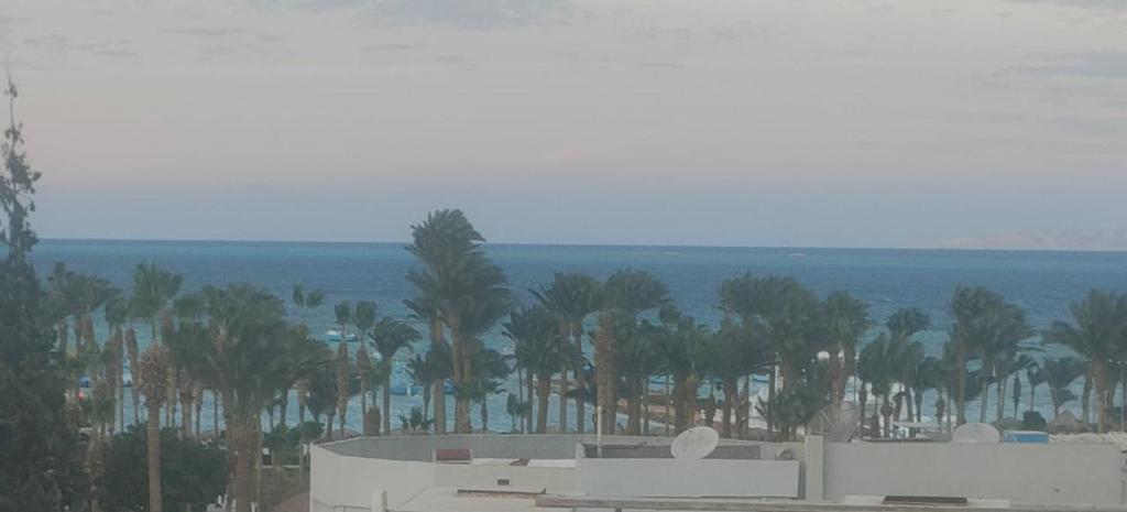 Hurghada Sea View Apartment في الغردقة: اطلالة على شاطئ به نخل والمحيط