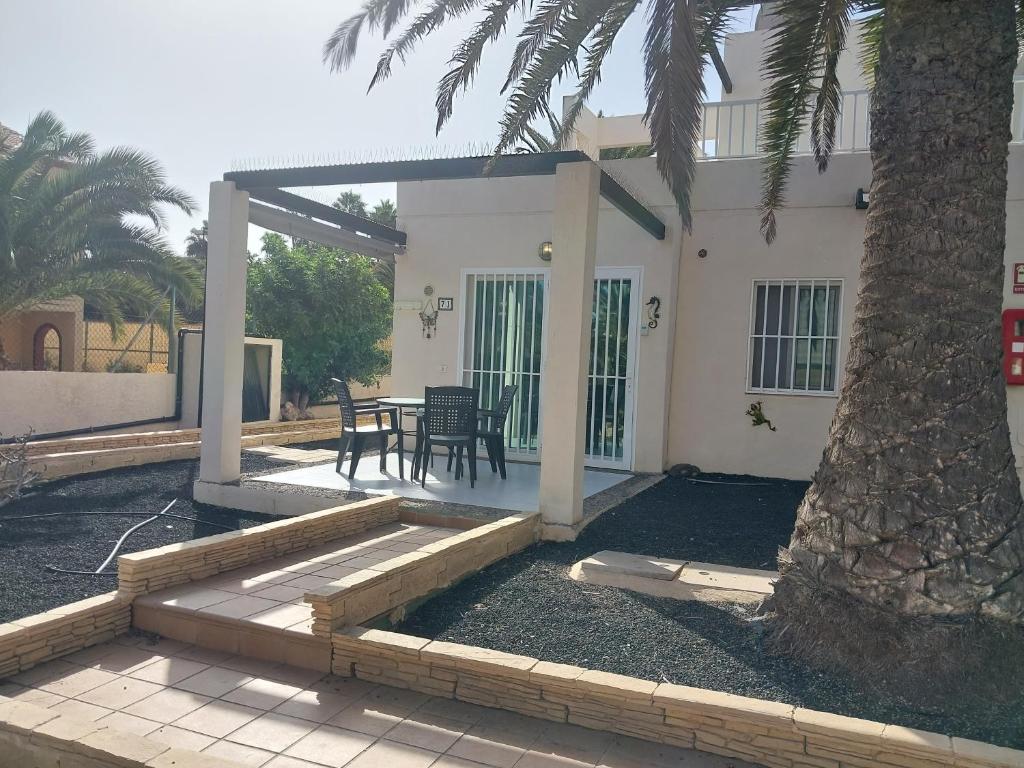 een huis met een palmboom en een patio bij Casa alisios 71 in Corralejo