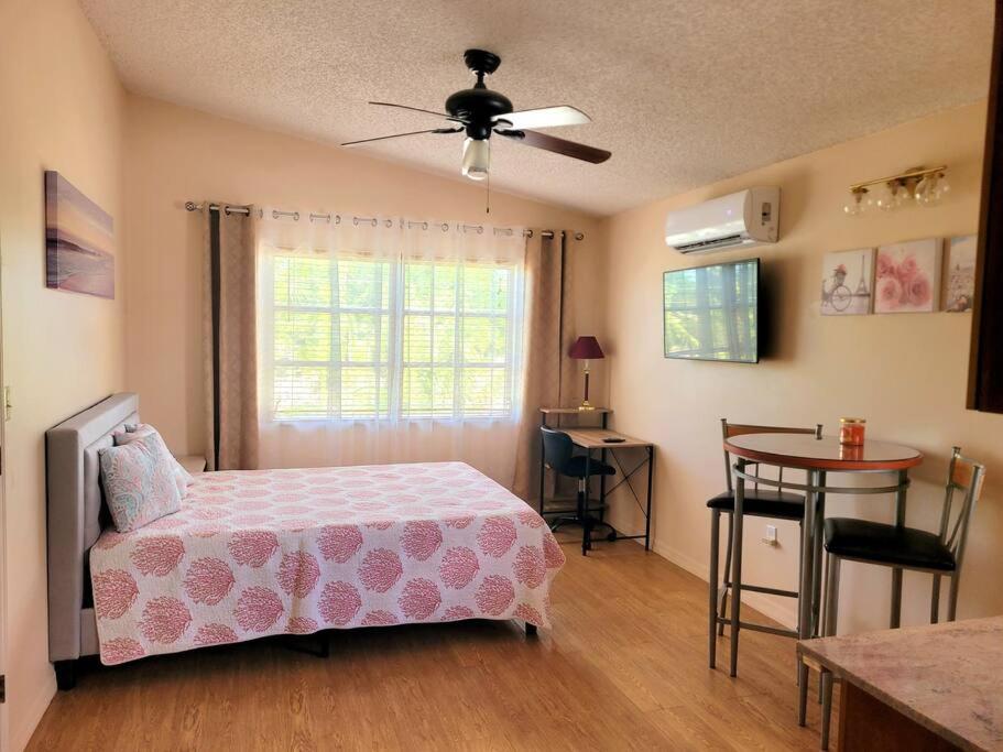 a bedroom with a bed and a table and a window at Comfy studio in Sarasota in Sarasota