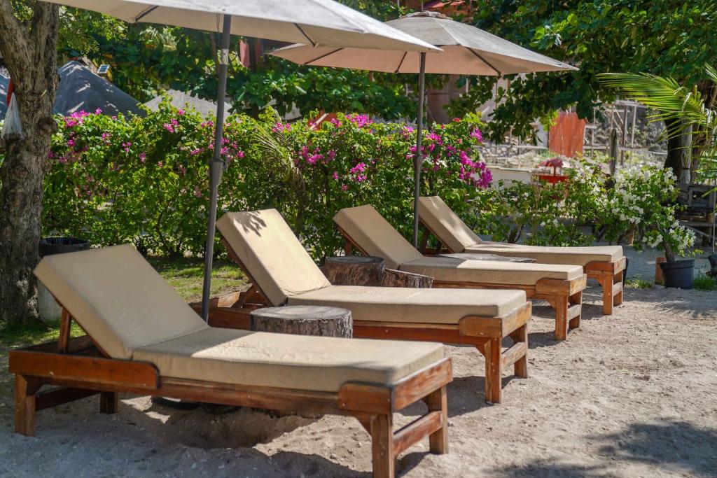 Zahrada ubytování Marika Resort