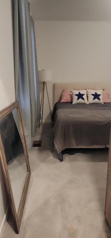 a bedroom with a bed and a mirror at Cozy, Quiet Shared Room & Home in Watkins