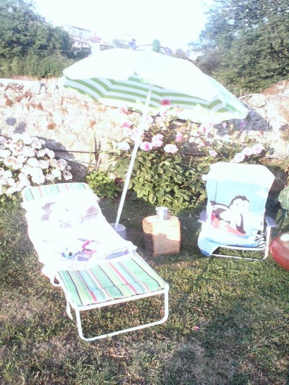 A garden outside Hotel El Sueve