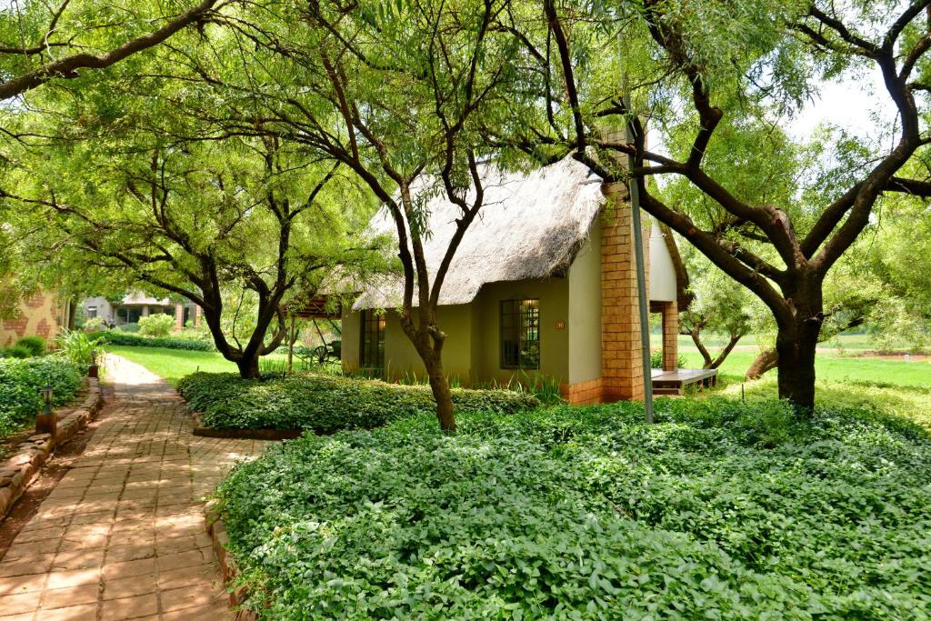 a small yellow house with a thatched roof and trees at African Hills Safari Lodge & Spa in Magaliesburg