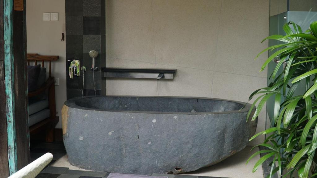 Tejaprana Bisma - CHSE Certified - 10