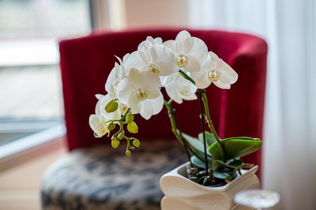 Jade Manotel - Resim 35