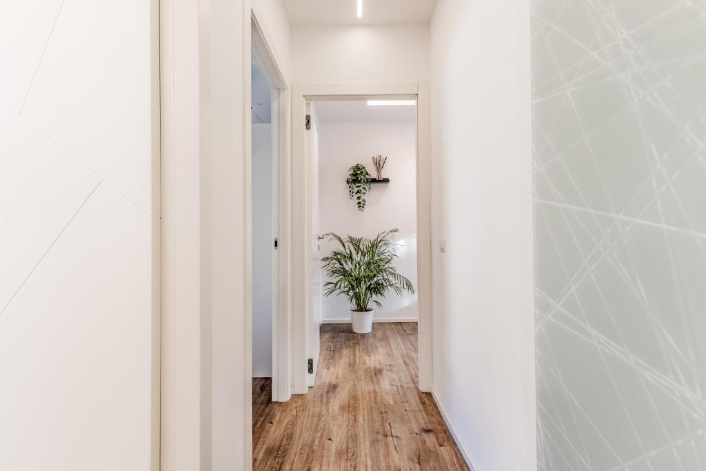 a hallway with white walls and a plant at LoungeFloor Metro A Netflix & Wi-Fi in Rome