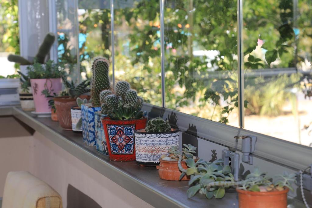 IKAROS Hotel ELLINIKO - Resim 19