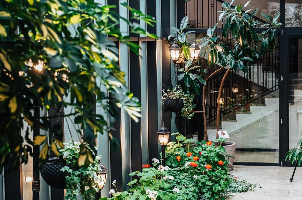 Zahrada ubytování Tbilisi Laerton Hotel