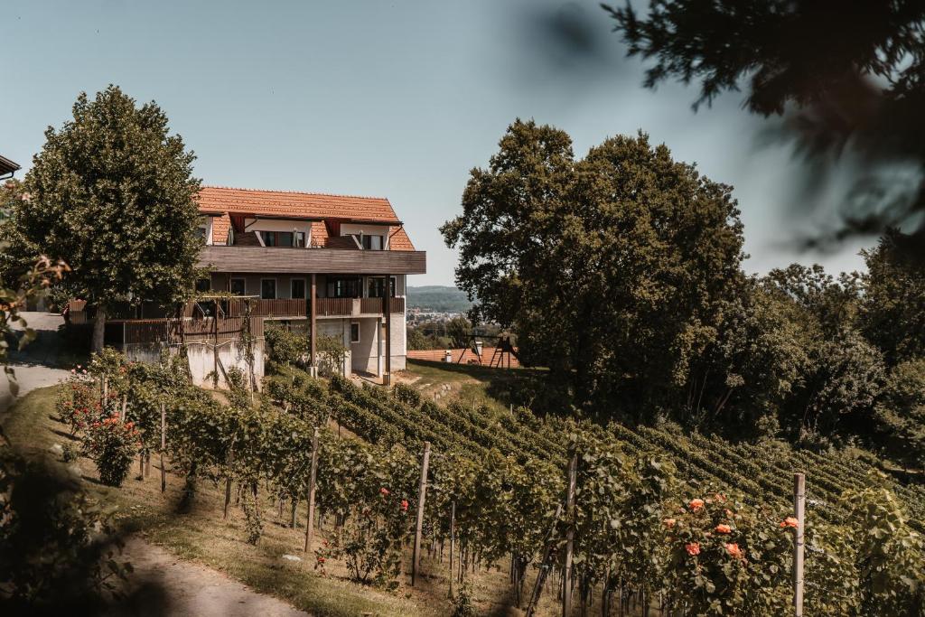 a vineyard with a house in the background at Weingut Assigal in Leibnitz