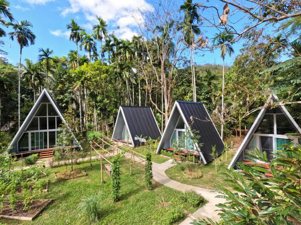 a group of triangular houses in a forest at Ample Forest Khao Sok Farmstay 