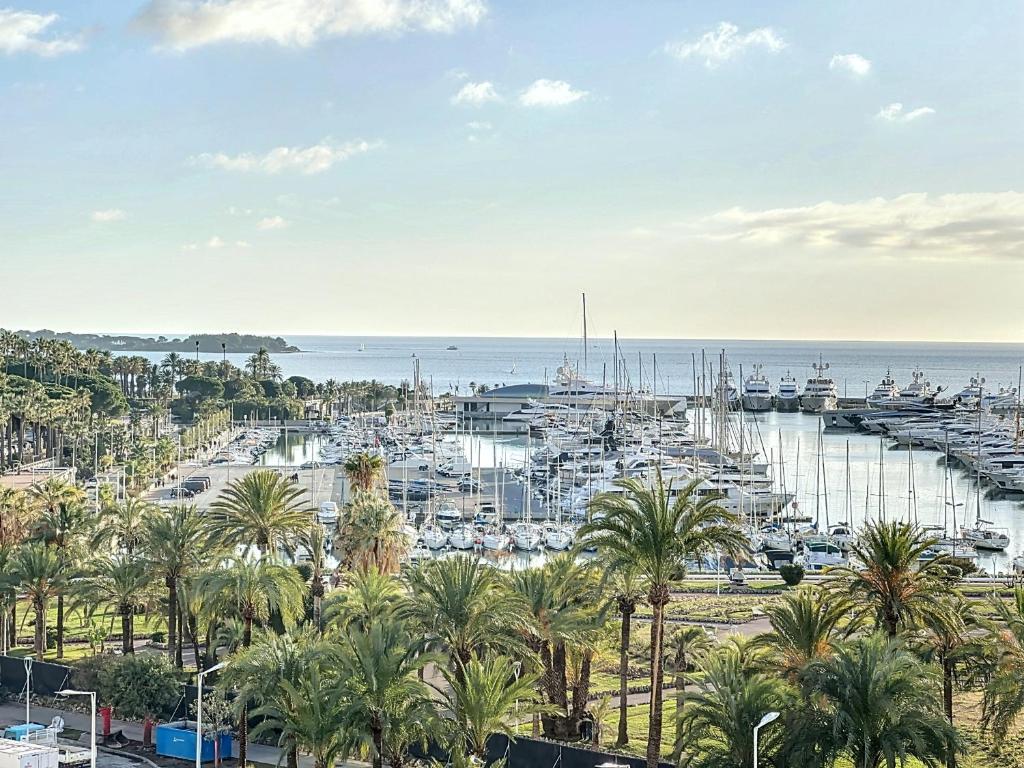 - une vue sur le port avec des palmiers et des bateaux dans l'établissement Cannes Pointe Croisette - 2 couchages, à Cannes