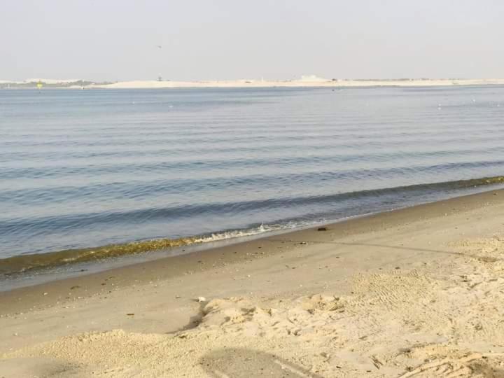 Blick auf den Strand und das Wasser in der Unterkunft قرية النورس مكتب السعد in Ismailia