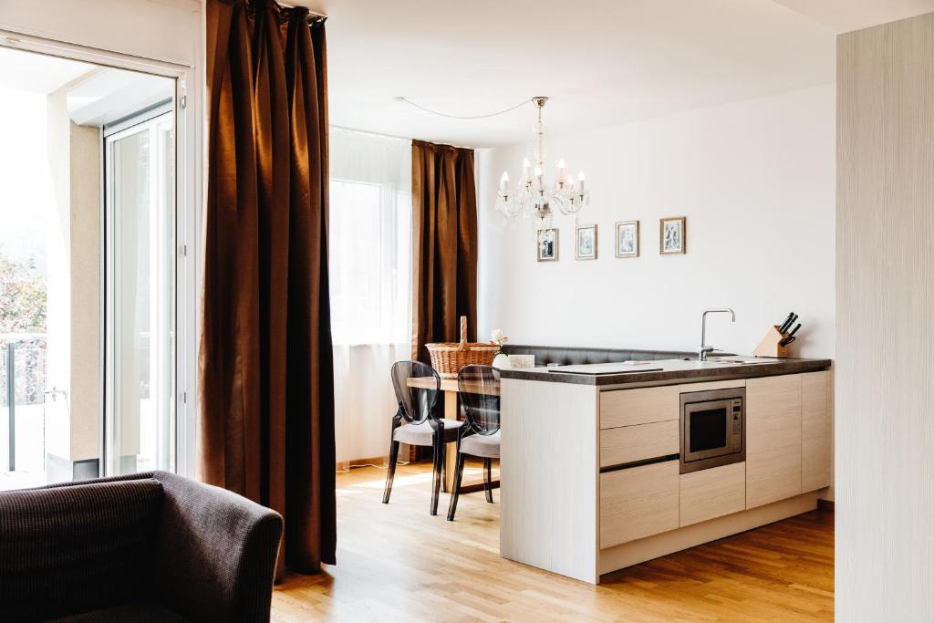 Kuchyň nebo kuchyňský kout v ubytování Apart Hotel Legendär