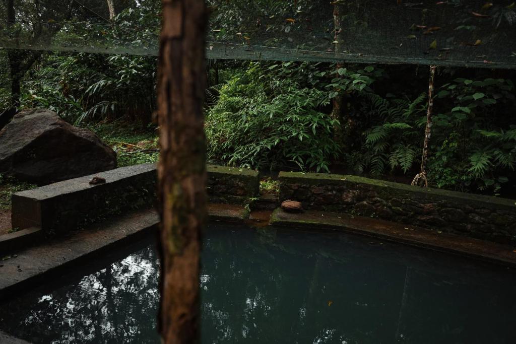 Whitedove Wayanad - Housity
