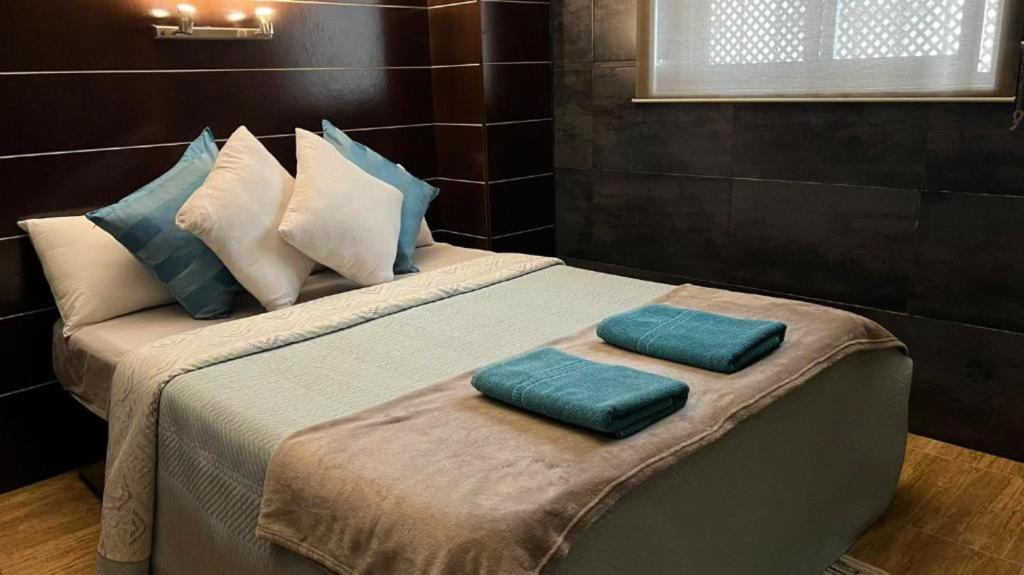 uma cama com duas almofadas em cima em Apartamento en Barrio San Basilio em Córdoba