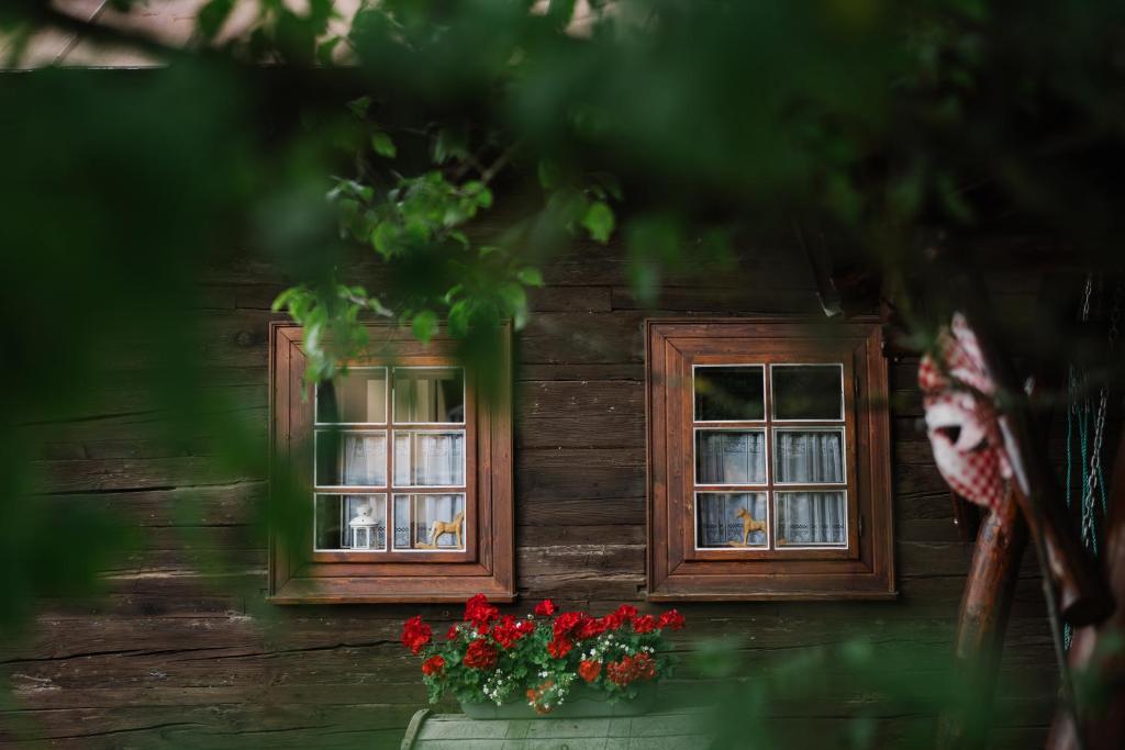 Casa de madera con 2 ventanas y flores rojas en Dreveničky Holúbkovia en Terchová
