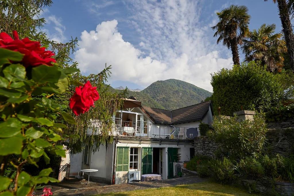 une maison avec vue sur la montagne dans l'établissement Wild Valley Ticino Vista in Valle Onsernone, à Auressio