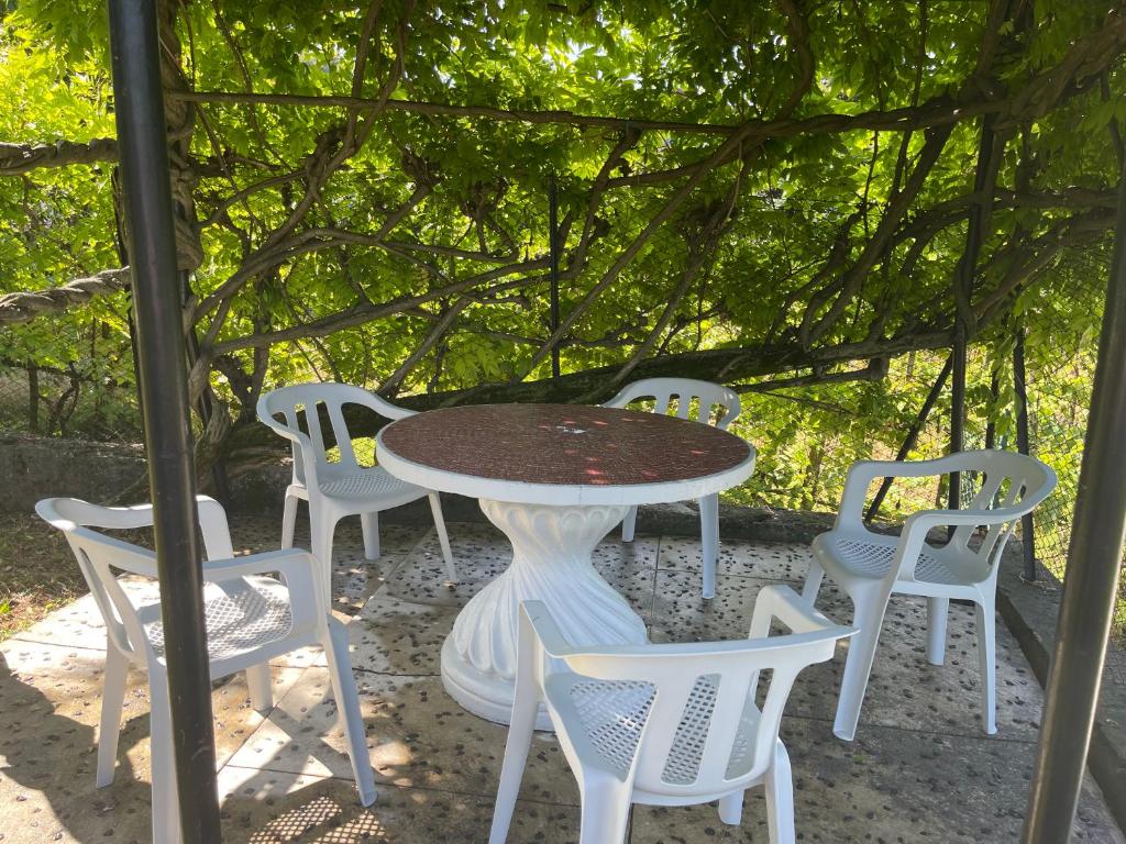 Zahrada ubytování Villa Rosi