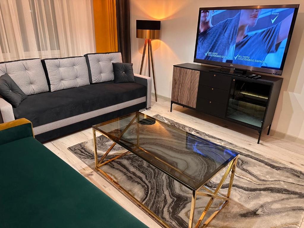 ein Wohnzimmer mit einem Sofa und einem Flachbild-TV in der Unterkunft Aparthotel Zabrze, Apartament Agnieszka in Zabrze