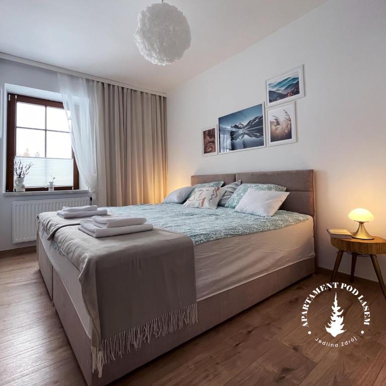 APARTAMENT Pod Lasem Jedlina Zdrój - Apartamento De Dos Dormitorios