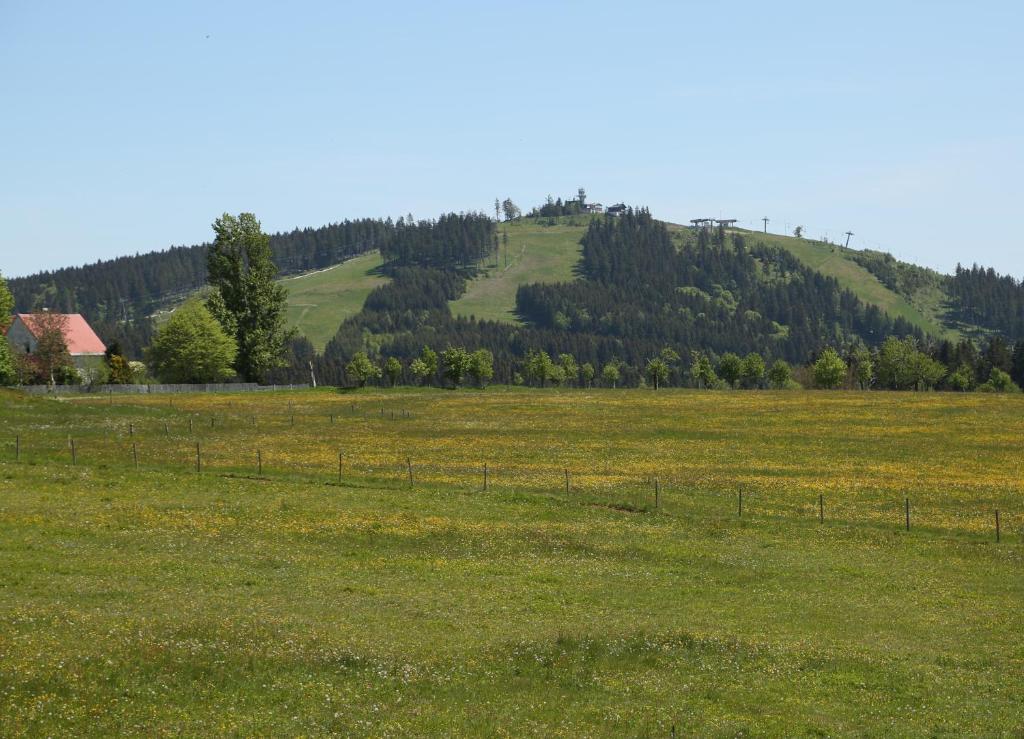 Příroda nedaleko apartmánu