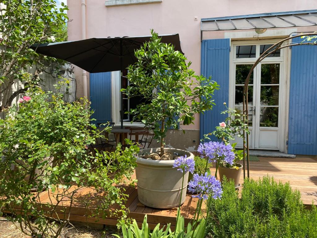 un grand pot avec un arbre dans un jardin dans l'établissement Un jardin en ville - Parking gratuit, à Lyon