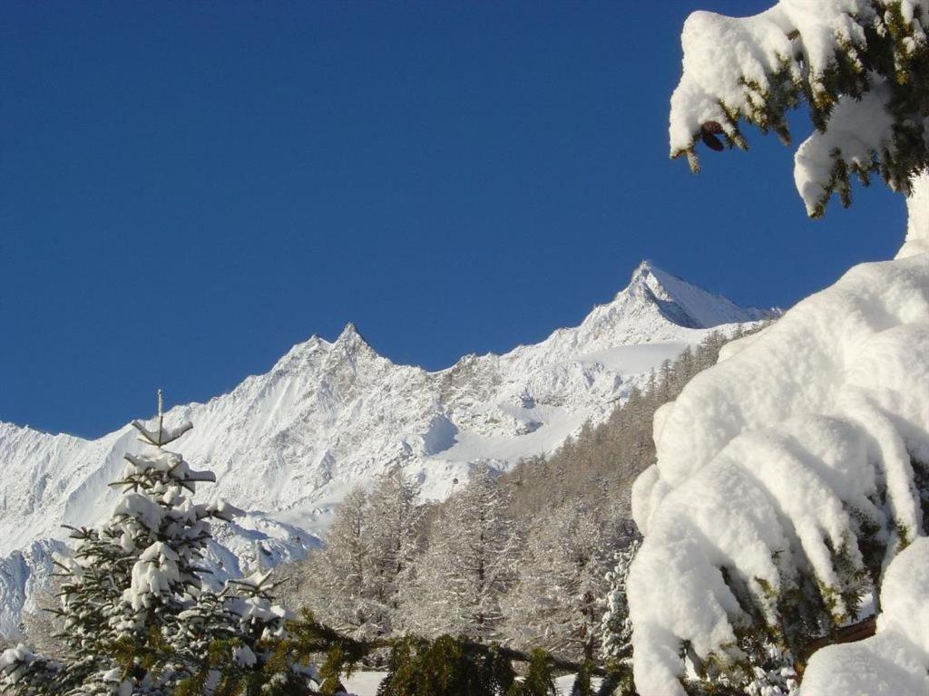 a snow covered mountain in the distance with snow covered trees at Apartment Amici 20 by Interhome in Saas-Fee