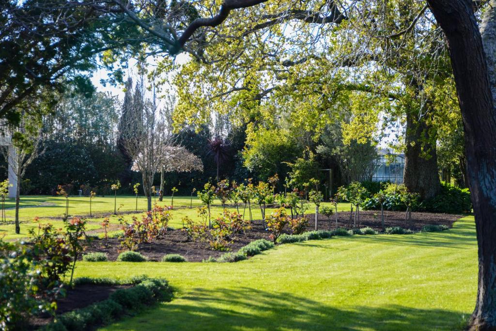 Mangapapa Hotel - Resim 37