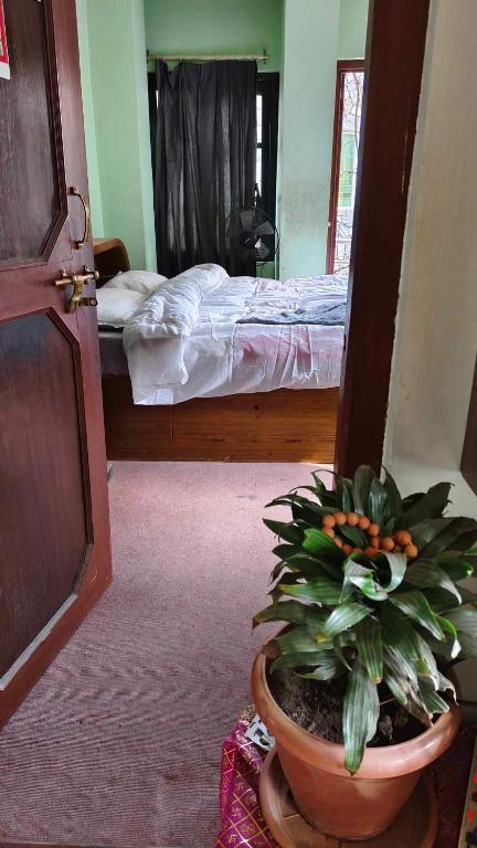 Postel nebo postele na pokoji v ubytování Monkey Temple Homestay