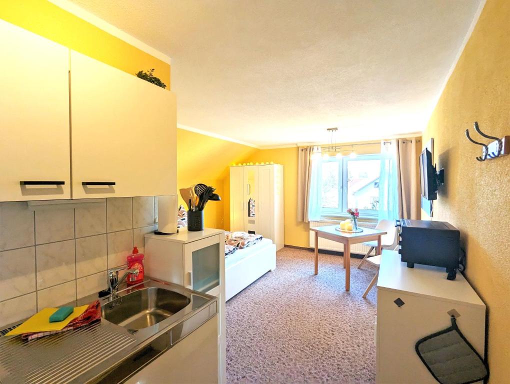 Kuchyň nebo kuchyňský kout v ubytování L6 - Urlaubsmagie Sofort loswandern - Kirnitzschtal