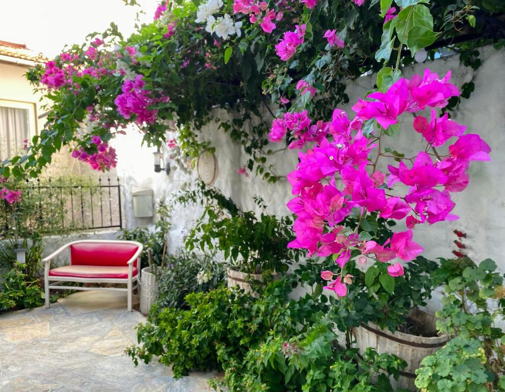 A garden outside Azize Palas Apart Otel